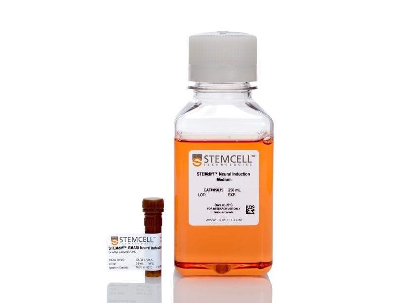 STEMdiff SMADi Neural Induction Kit | 製品情報 | ベリタス STEMdiff SMADi Neural Induction Kit | 製品情報 | ベリタス